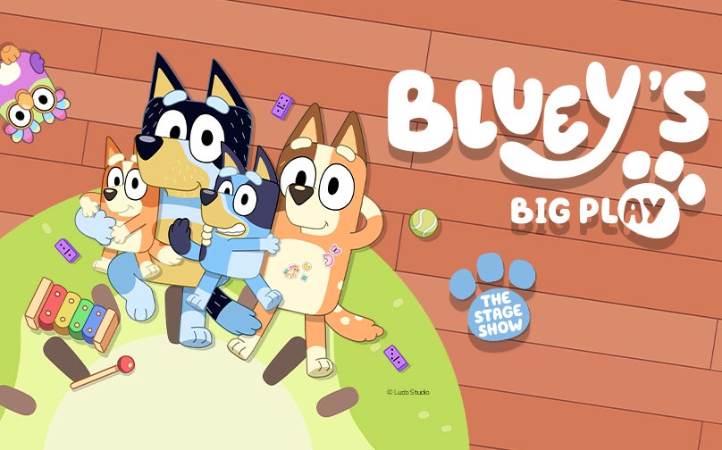 Bluey's Big Play