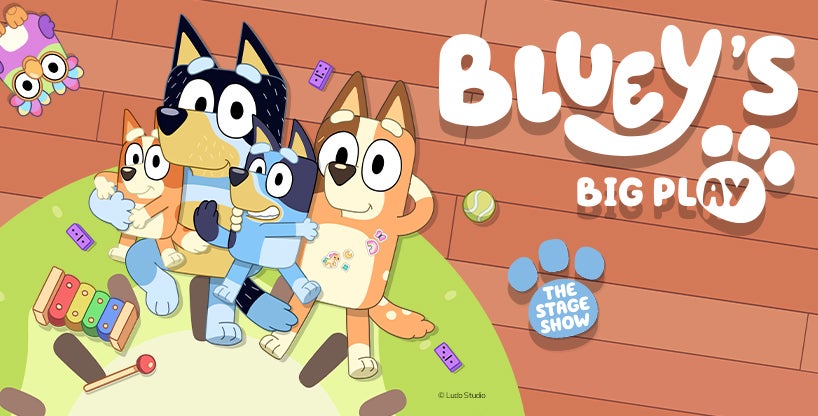 More Info for Bluey's Big Play